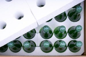 Zero Sugar Dr. Enuf Case - 24 Bottles - Image 2